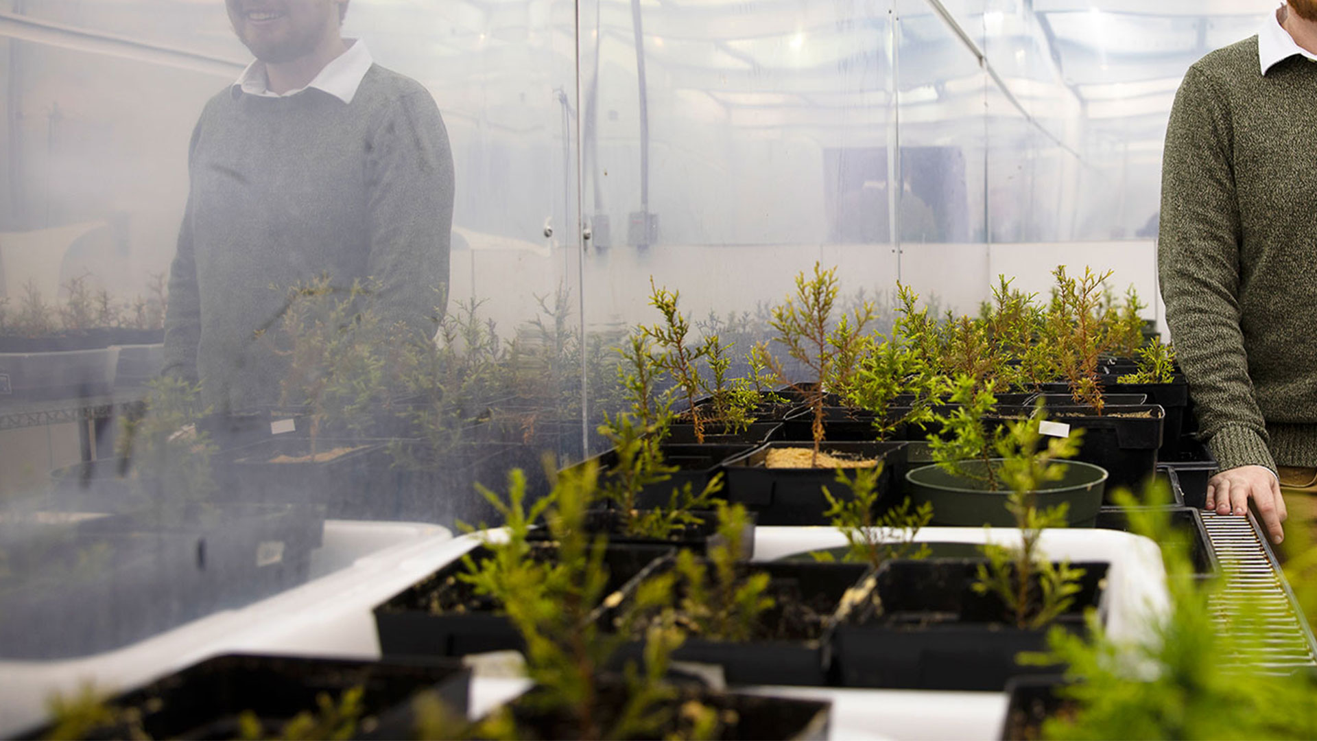 Biology major Patrick Wright in a greenhouse with plants