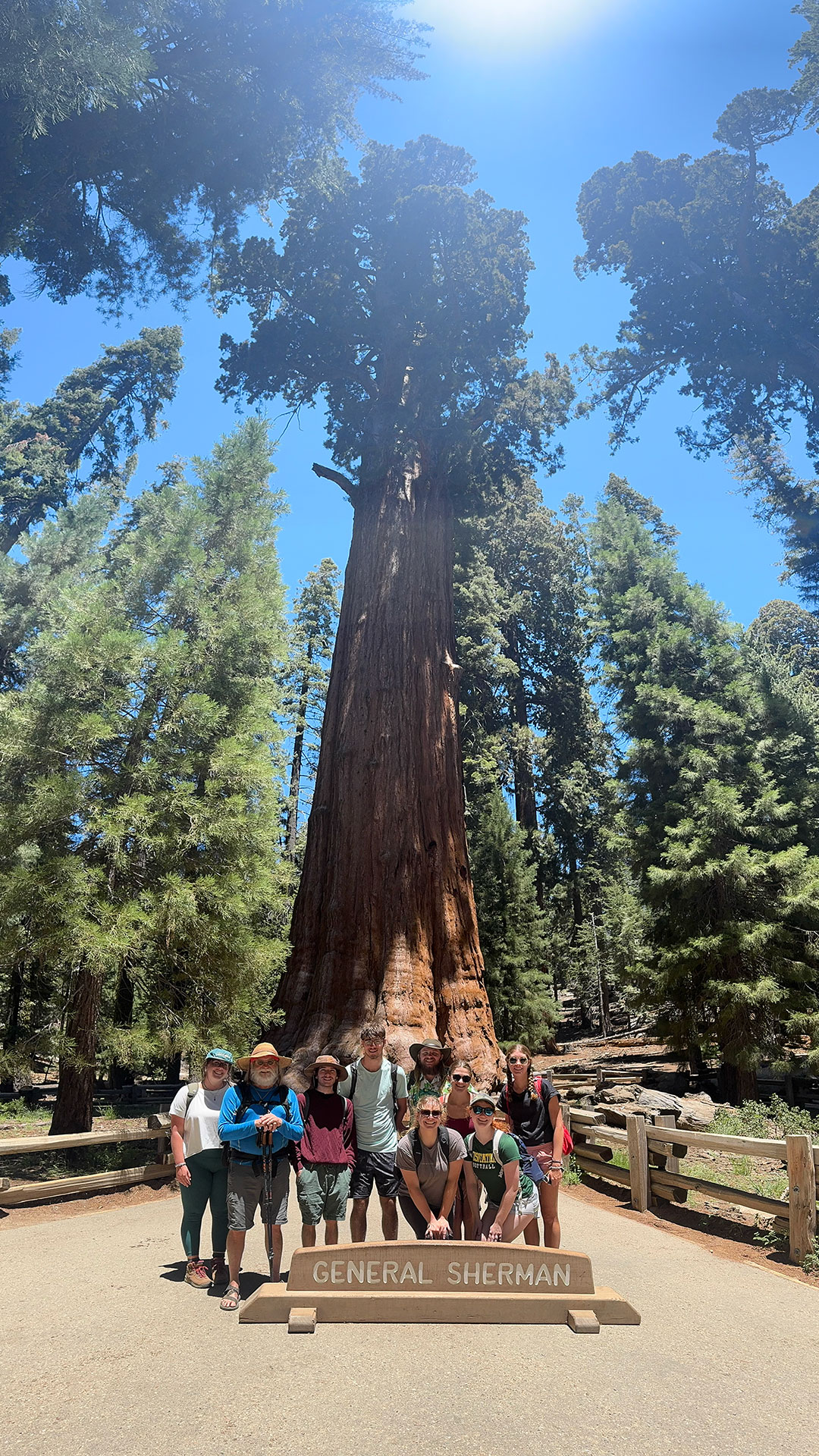 A group of faculty and students stand at the base of the General Sherman Sequoia Tree.