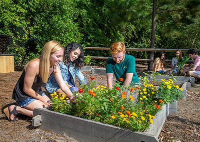 Students gardening
